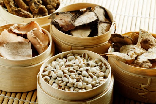 Reviving Traditions: The Resurgence of Traditional Chinese Medicine in Modern Culture